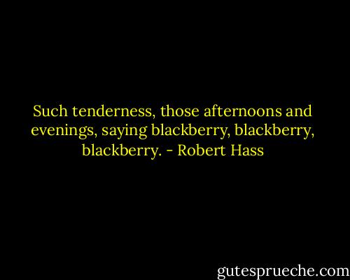 Such tenderness, those afternoons and evenings, saying blackberry, blackberry, blackberry. - Robert Hass