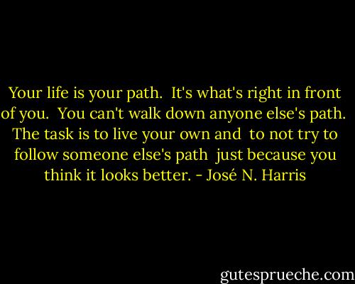 Your life is your path. <br />It's what's right in front of you. <br />You can't walk down anyone else's path. <br />The task is to live your own and <br />to not try to follow someone else's path<br /> just because you think it looks better. - José N. Harris