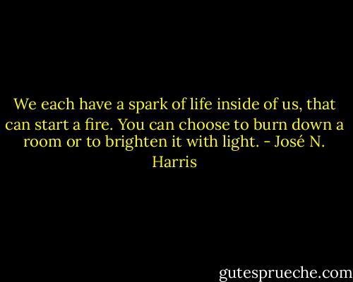 We each have a spark of life inside of us, that can start a fire. You can choose to burn down a room or to brighten it with light. - José N. Harris