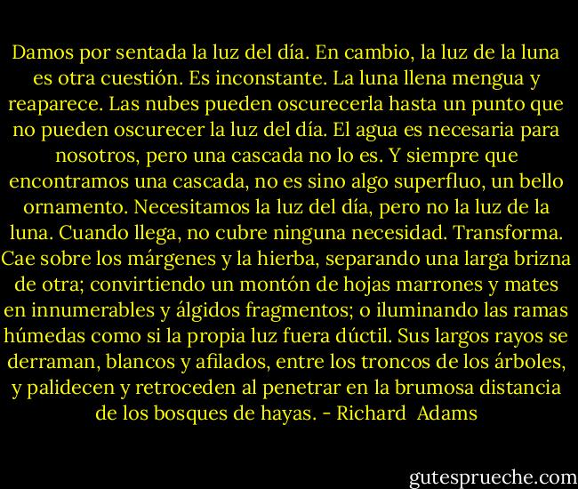 Damos por sentada la luz del día. En cambio, la luz de la luna es otra cuestión. Es inconstante. La luna llena mengua y reaparece. Las nubes pueden oscurecerla hasta un punto que no pueden oscurecer la luz del día. El agua es necesaria para nosotros, pero una cascada no lo es. Y siempre que encontramos una cascada, no es sino algo superfluo, un bello ornamento. Necesitamos la luz del día, pero no la luz de la luna. Cuando llega, no cubre ninguna necesidad. Transforma. Cae sobre los márgenes y la hierba, separando una larga brizna de otra; convirtiendo un montón de hojas marrones y mates en innumerables y álgidos fragmentos; o iluminando las ramas húmedas como si la propia luz fuera dúctil. Sus largos rayos se derraman, blancos y afilados, entre los troncos de los árboles, y palidecen y retroceden al penetrar en la brumosa distancia de los bosques de hayas. - Richard  Adams