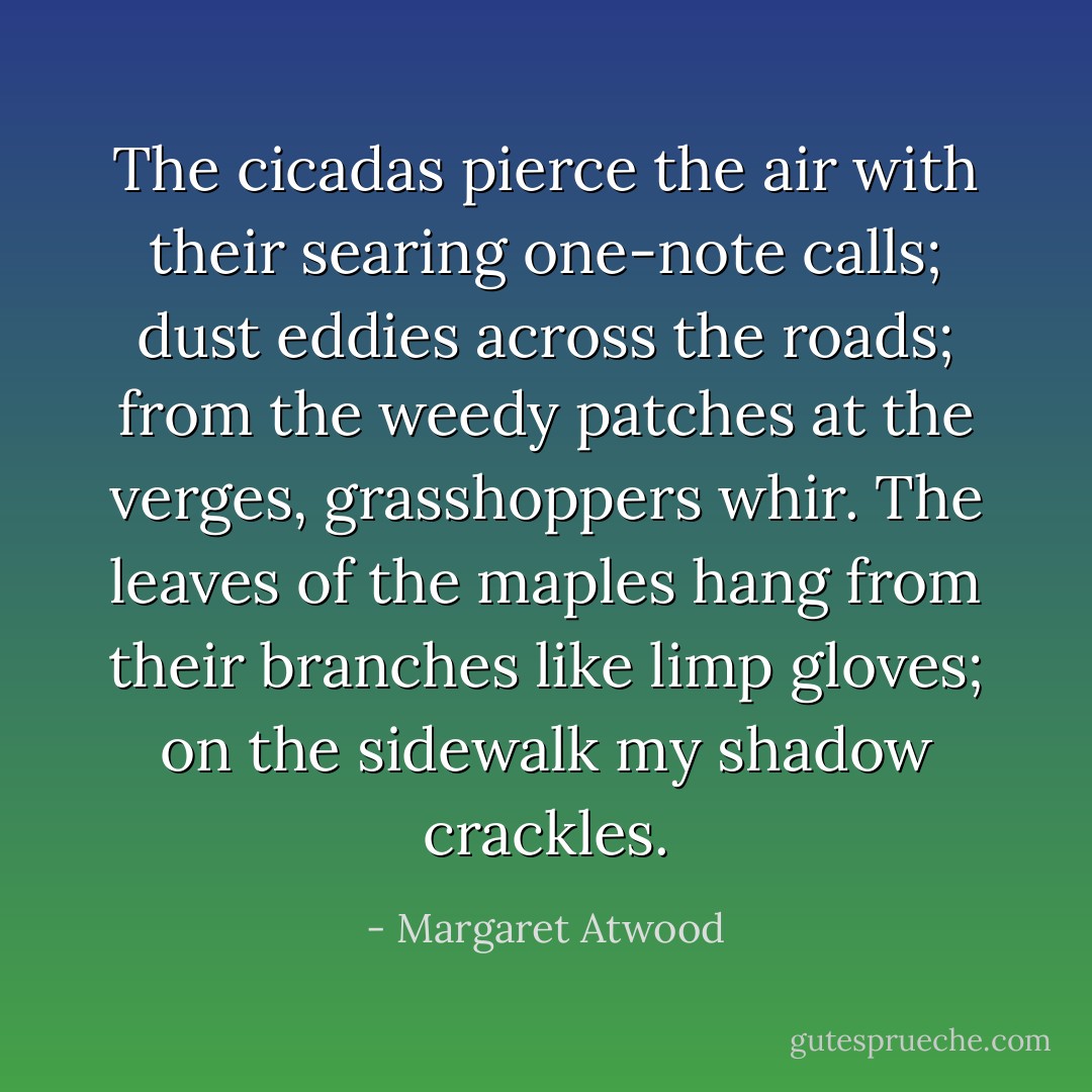 The cicadas pierce the air with their searing one-note calls; dust eddies across the roads; from the weedy patches at the verges, grasshoppers whir. The leaves of the maples hang from their branches like limp gloves; on the sidewalk my shadow crackles. - Margaret Atwood