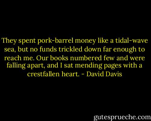 They spent pork-barrel money like a tidal-wave sea, but no funds trickled down far enough to reach me. Our books numbered few and were falling apart, and I sat mending pages with a crestfallen heart. - David Davis