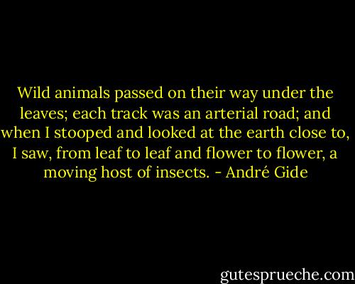 Wild animals passed on their way under the leaves; each track was an arterial road; and when I stooped and looked at the earth close to, I saw, from leaf to leaf and flower to flower, a moving host of insects. - André Gide