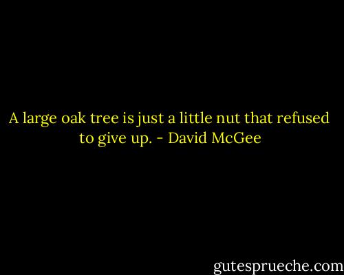 A large oak tree is just a little nut that refused to give up. - David McGee
