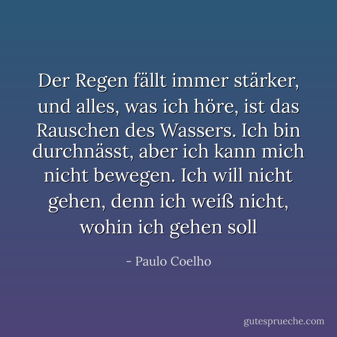 Der Regen fällt immer stärker, und<br />alles, was ich höre, ist das Rauschen des Wassers.<br />Ich bin durchnässt, aber ich kann mich nicht bewegen. Ich will nicht<br />gehen, denn ich weiß nicht, wohin ich gehen soll - Paulo Coelho<