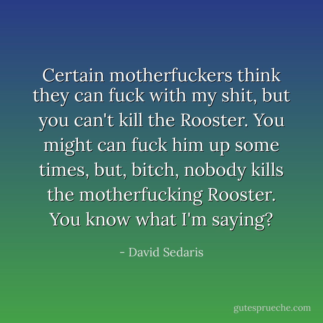 Certain motherfuckers think they can fuck with my shit, but you can't kill the Rooster. You might can fuck him up some times, but, bitch, nobody kills the motherfucking Rooster. You know what I'm saying? - David Sedaris