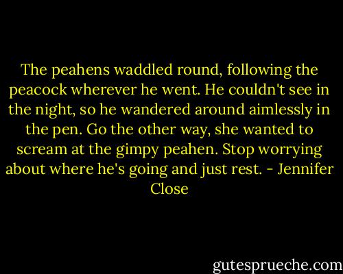The peahens waddled round, following the peacock wherever he went. He couldn't see in the night, so he wandered around aimlessly in the pen. Go the other way, she wanted to scream at the gimpy peahen. Stop worrying about where he's going and just rest. - Jennifer Close