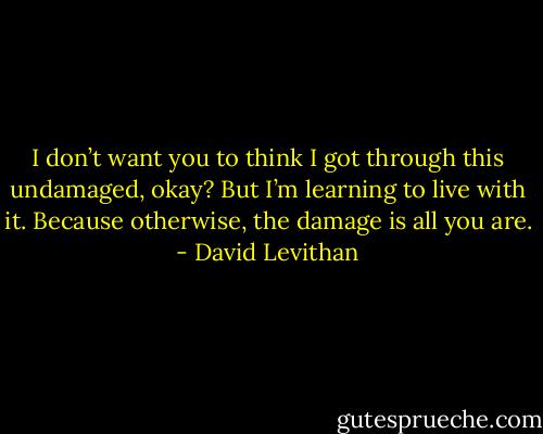 I don’t want you to think I got through this undamaged, okay? But I’m learning to live with it. Because otherwise, the damage is all you are. - David Levithan