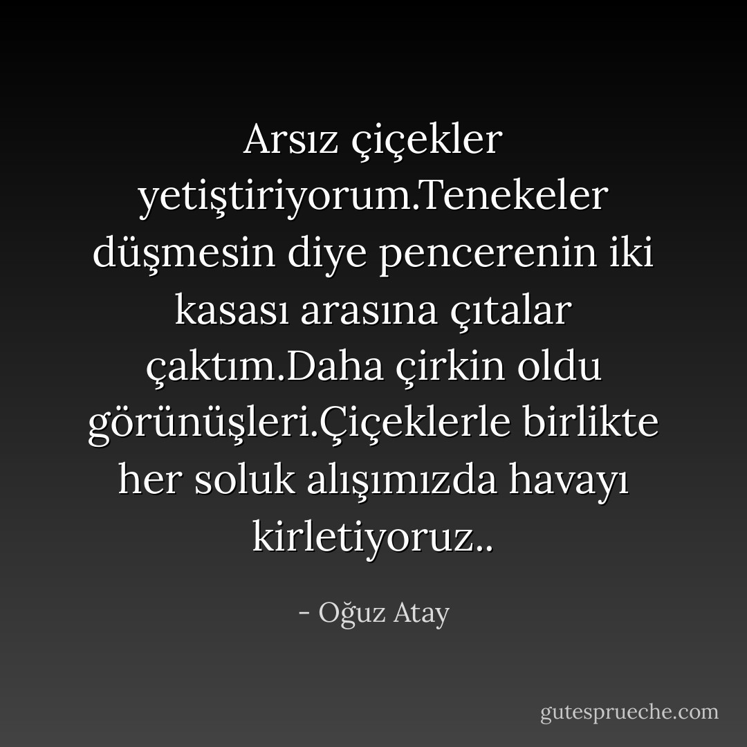 Arsız çiçekler yetiştiriyorum.Tenekeler düşmesin diye pencerenin iki kasası arasına çıtalar çaktım.Daha çirkin oldu görünüşleri.Çiçeklerle birlikte her soluk alışımızda havayı kirletiyoruz.. - Oğuz Atay