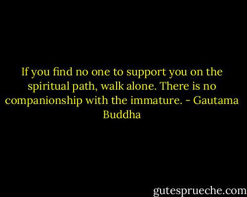 If you find no one to support you on the spiritual path, walk alone. There is no companionship with the immature. - Gautama Buddha