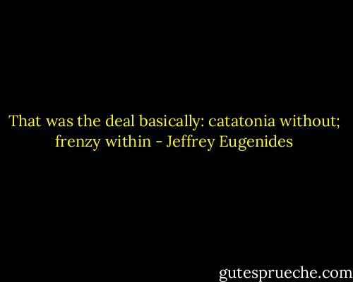 That was the deal basically: catatonia without; frenzy within - Jeffrey Eugenides
