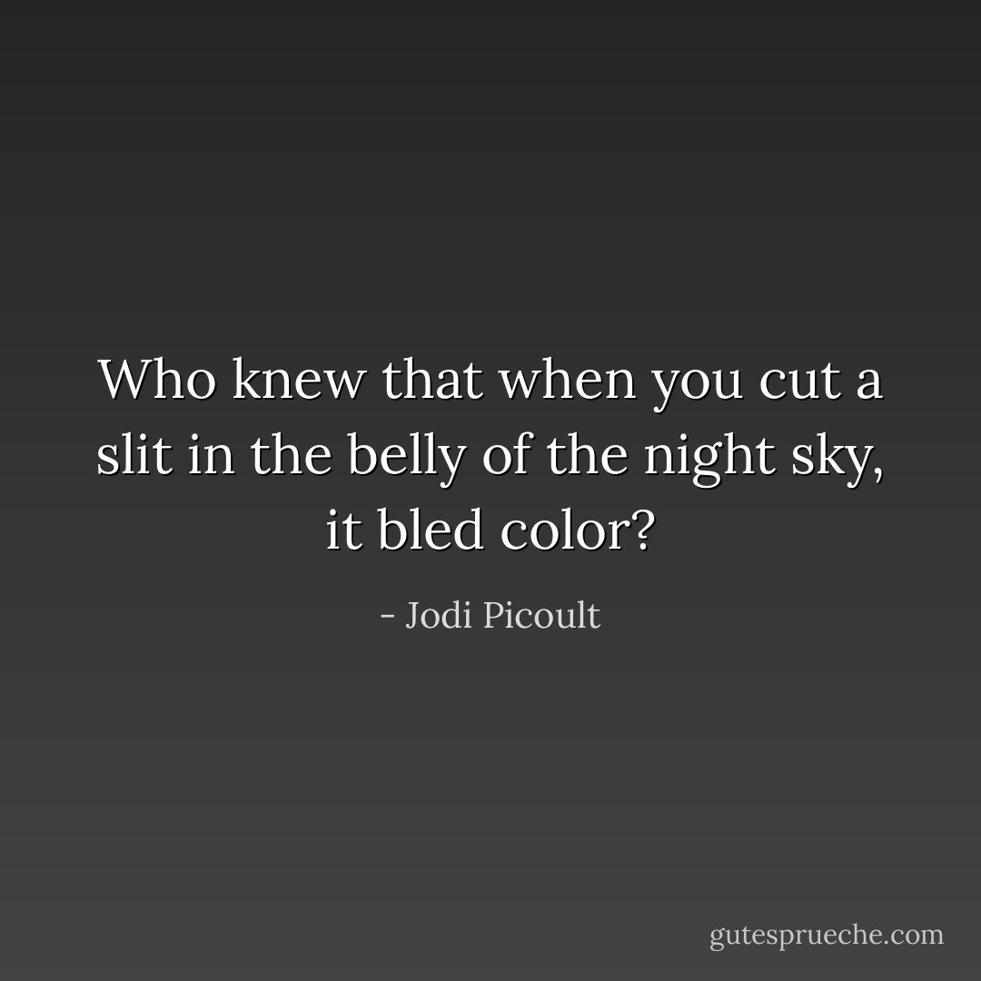 Who knew that when you cut a slit in the belly of the night sky, it bled color? - Jodi Picoult