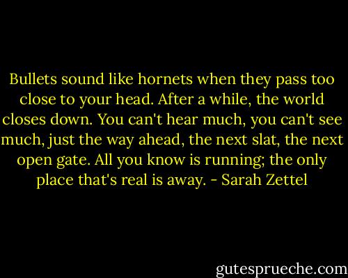 Bullets sound like hornets when they pass too close to your head. After a while, the world closes down. You can't hear much, you can't see much, just the way ahead, the next slat, the next open gate. All you know is running; the only place that's real is away. - Sarah Zettel