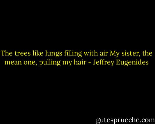 The trees like lungs filling with air<br />My sister, the mean one, pulling my hair - Jeffrey Eugenides