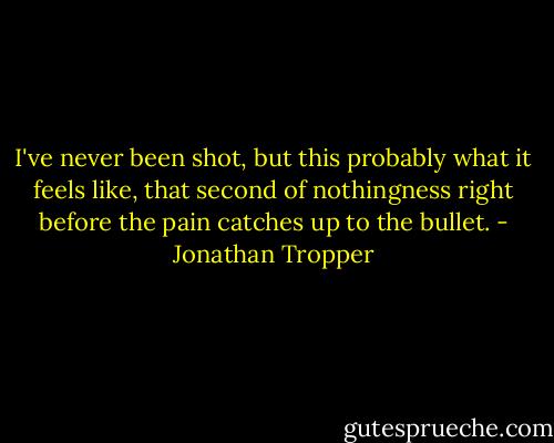 I've never been shot, but this probably what it feels like, that second of nothingness right before the pain catches up to the bullet. - Jonathan Tropper