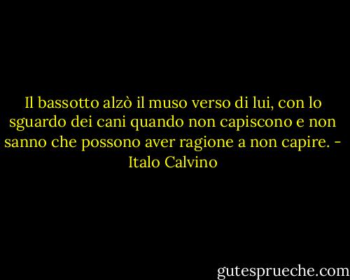 Il bassotto alzò il muso verso di lui, con lo sguardo dei cani quando non capiscono e non sanno che possono aver ragione a non capire. - Italo Calvino