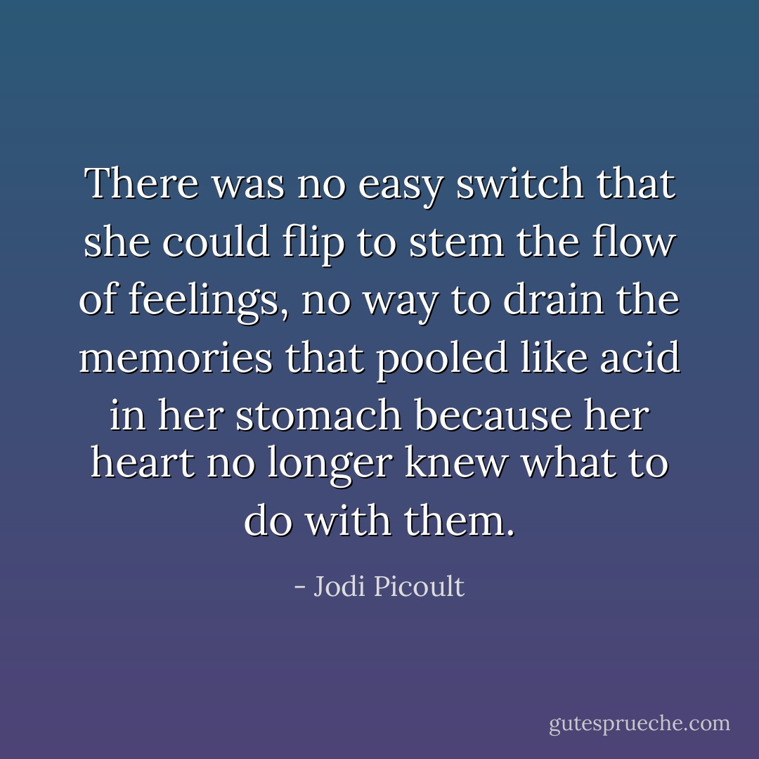 There was no easy switch that she could flip to stem the flow of feelings, no way to drain the memories that pooled like acid in her stomach because her heart no longer knew what to do with them. - Jodi Picoult