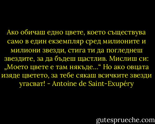 Ако обичаш едно цвете, което съществува само в един екземпляр сред милионите и милиони звезди, стига ти да погледнеш звездите, за да бъдеш щастлив. Мислиш си: „Моето цвете е там някъде…“ Но ако овцата изяде цветето, за тебе сякаш всичките звезди угасват! - Antoine de Saint-Exupéry