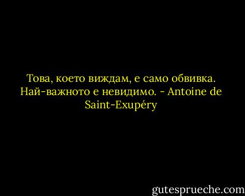Това, което виждам, е само обвивка. Най-важното е невидимо. - Antoine de Saint-Exupéry