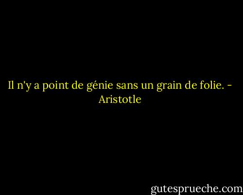 Il n'y a point de génie sans un grain de folie. - Aristotle