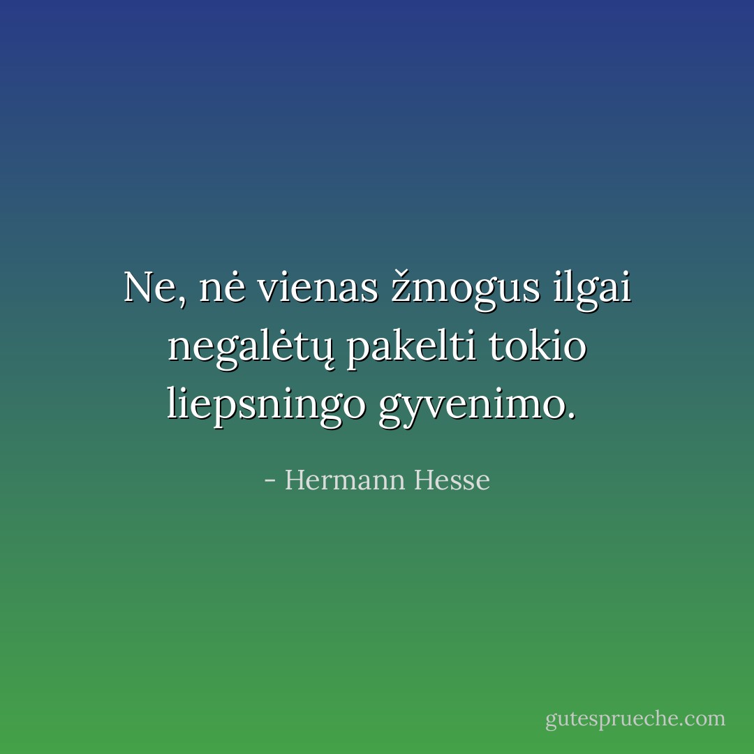 Ne, nė vienas žmogus ilgai negalėtų pakelti tokio liepsningo gyvenimo.  - Hermann Hesse