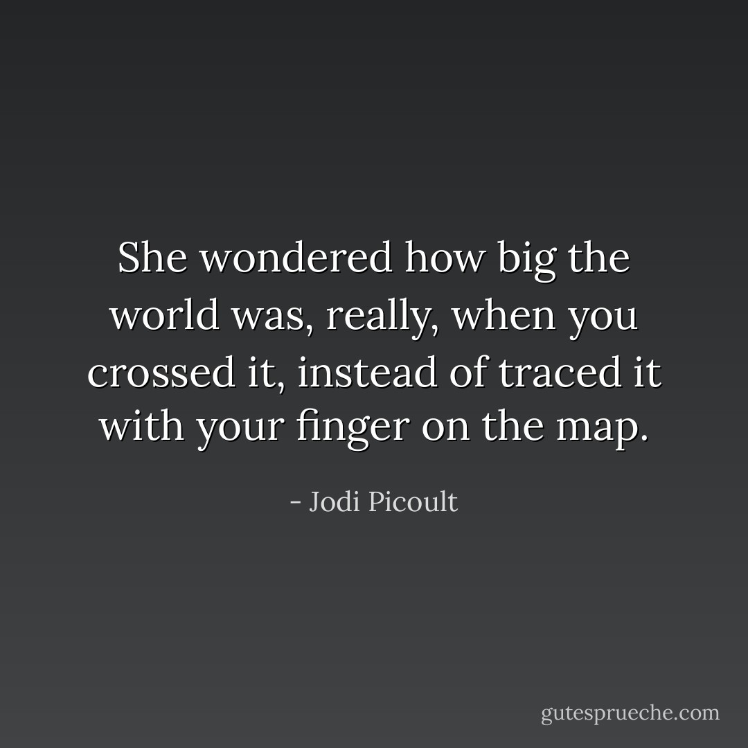 She wondered how big the world was, really, when you crossed it, instead of traced it with your finger on the map. - Jodi Picoult