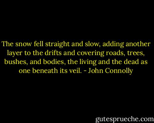 The snow fell straight and slow, adding another layer to the drifts and covering roads, trees, bushes, and bodies, the living and the dead as one beneath its veil. - John Connolly