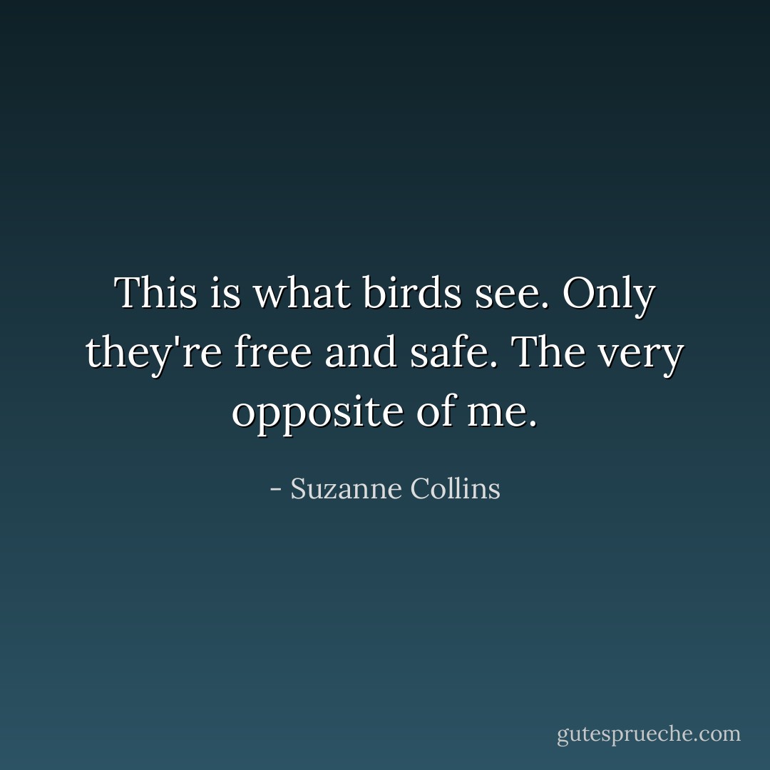 This is what birds see. Only they're free and safe. The very opposite of me. - Suzanne Collins