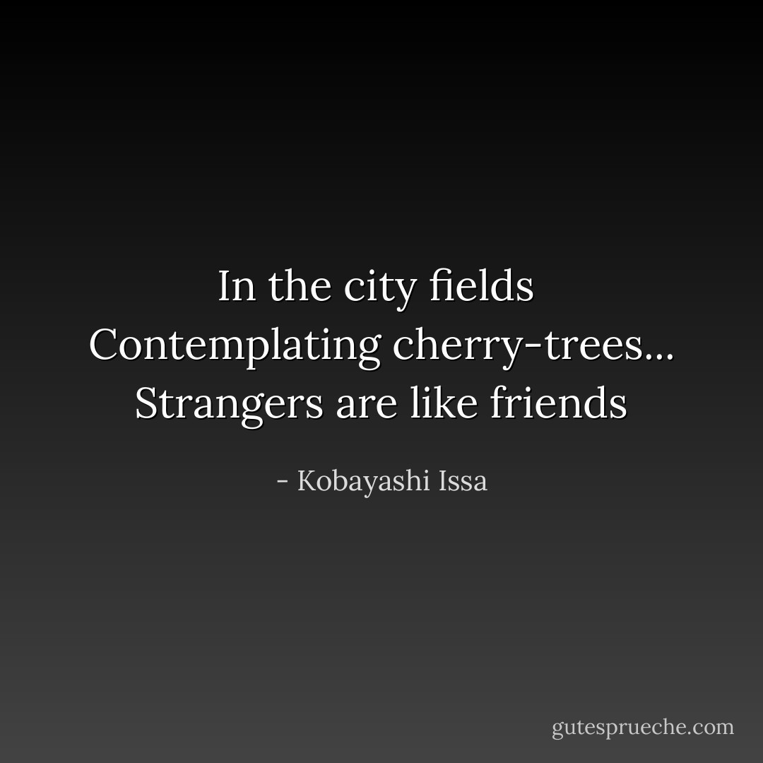 In the city fields <br />Contemplating cherry-trees...<br />Strangers are like friends - Kobayashi Issa
