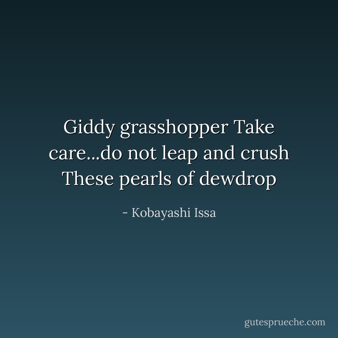 Giddy grasshopper<br />Take care...do not leap and crush<br />These pearls of dewdrop - Kobayashi Issa