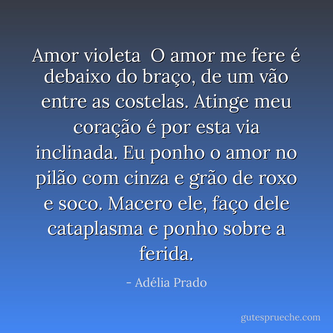 Amor violeta<br /><br />O amor me fere é debaixo do braço,<br />de um vão entre as costelas.<br />Atinge meu coração é por esta via inclinada.<br />Eu ponho o amor no pilão com cinza<br />e grão de roxo e soco. Macero ele,<br />faço dele cataplasma<br />e ponho sobre a ferida. - Adélia Prado