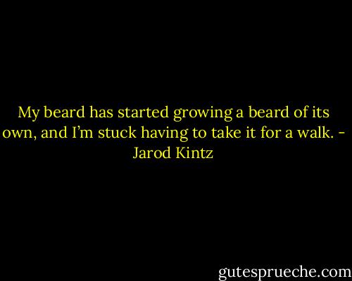 My beard has started growing a beard of its own, and I’m stuck having to take it for a walk. - Jarod Kintz
