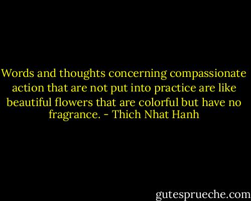 Words and thoughts concerning compassionate action that are not put into practice are like beautiful flowers that are colorful but have no fragrance. - Thich Nhat Hanh