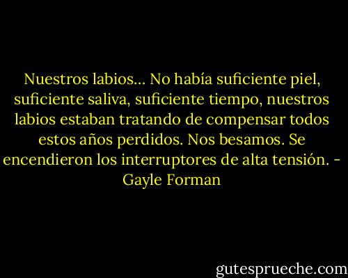 Nuestros labios… No había suficiente piel, suficiente saliva, suficiente tiempo, nuestros labios estaban tratando de compensar todos estos años perdidos. Nos besamos. Se encendieron los interruptores de alta tensión. - Gayle Forman