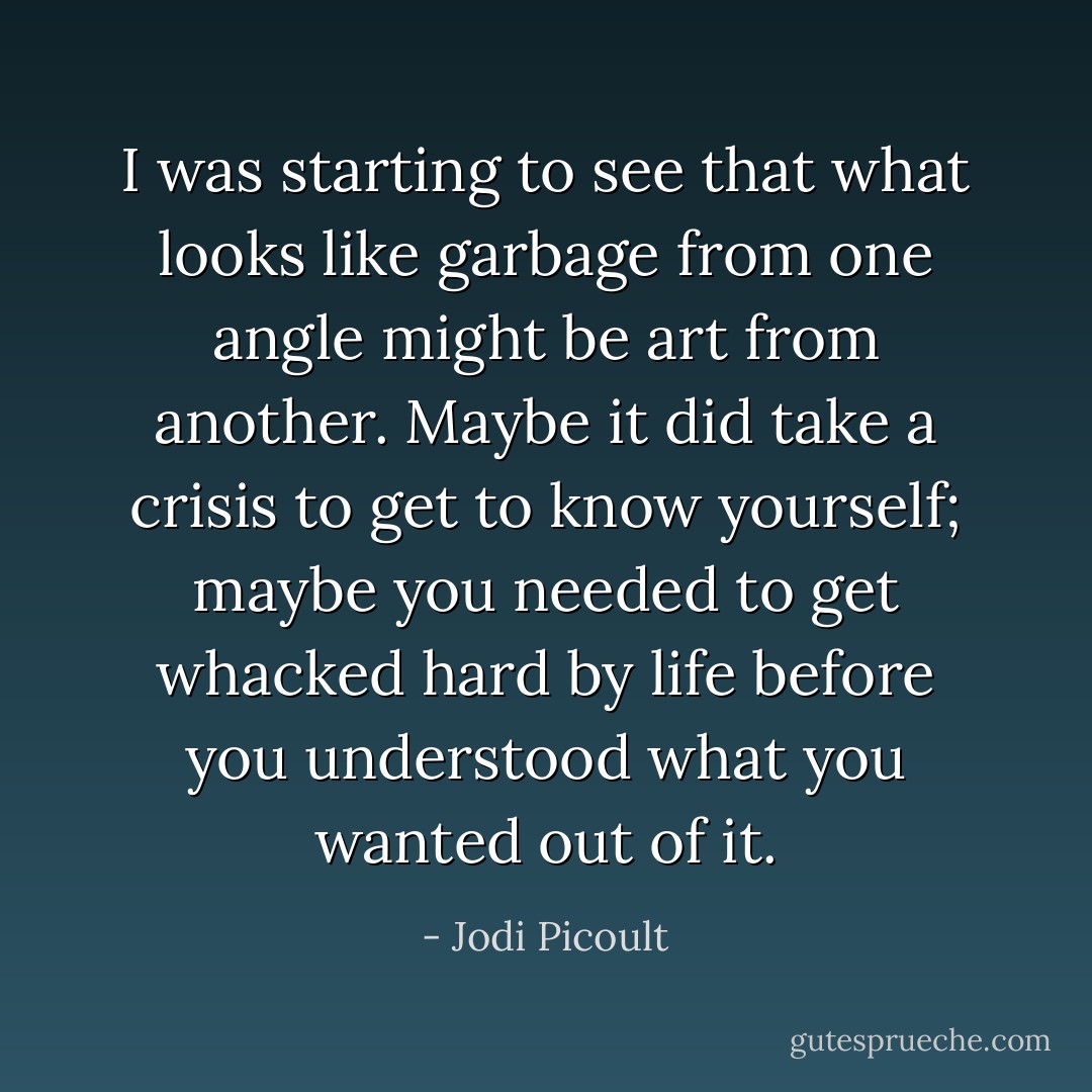 I was starting to see that what looks like garbage from one angle might be art from another. Maybe it did take a crisis to get to know yourself; maybe you needed to get whacked hard by life before you understood what you wanted out of it. - Jodi Picoult