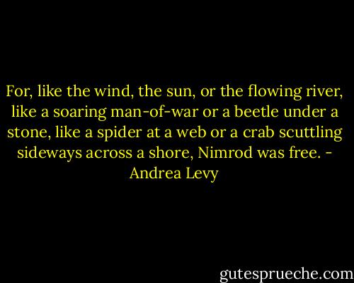 For, like the wind, the sun, or the flowing river, like a soaring man-of-war or a beetle under a stone, like a spider at a web or a crab scuttling sideways across a shore, Nimrod was free. - Andrea Levy