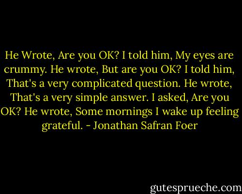 He Wrote, Are you OK?<br />I told him, My eyes are crummy.<br />He wrote, But are you OK?<br />I told him, That's a very complicated question.<br />He wrote, That's a very simple answer.<br />I asked, Are you OK?<br />He wrote, Some mornings I wake up feeling grateful. - Jonathan Safran Foer
