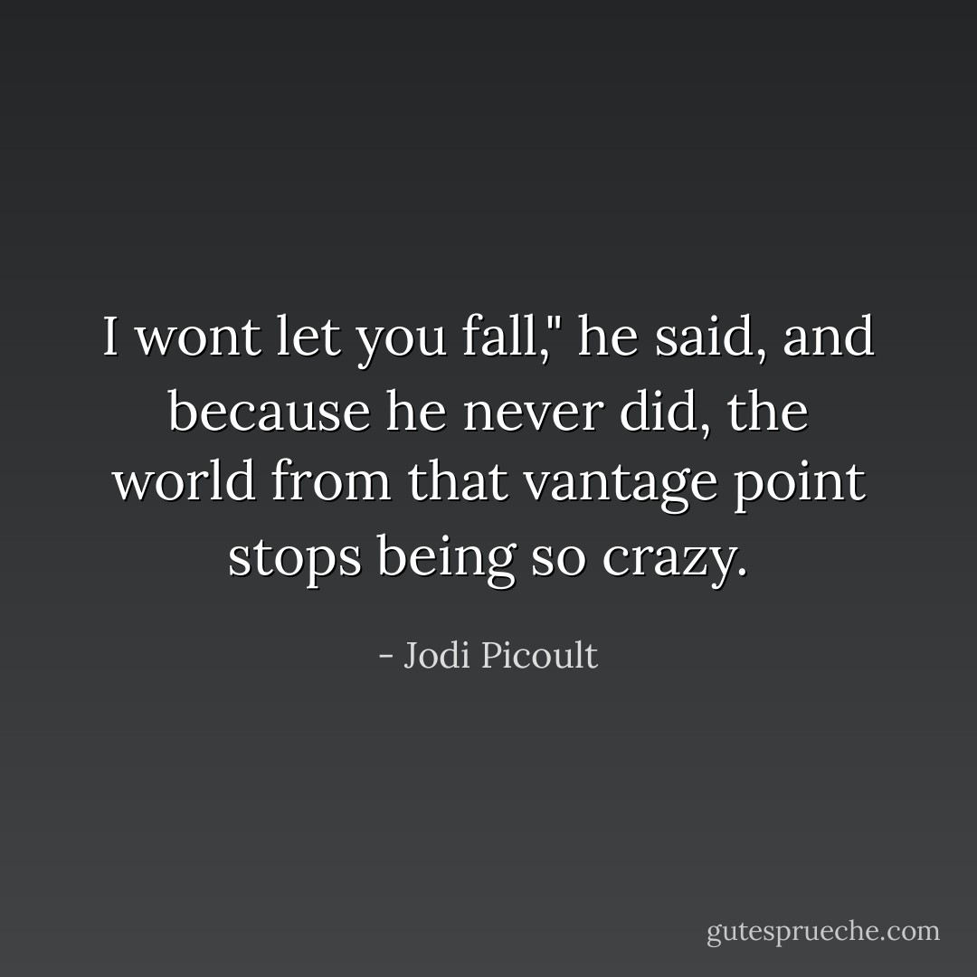 I wont let you fall," he said, and because he never did, the world from that vantage point stops being so crazy. - Jodi Picoult