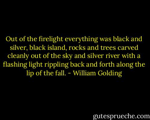 Out of the firelight everything was black and silver, black island, rocks and trees carved cleanly out of the sky and silver river with a flashing light rippling back and forth along the lip of the fall. - William Golding
