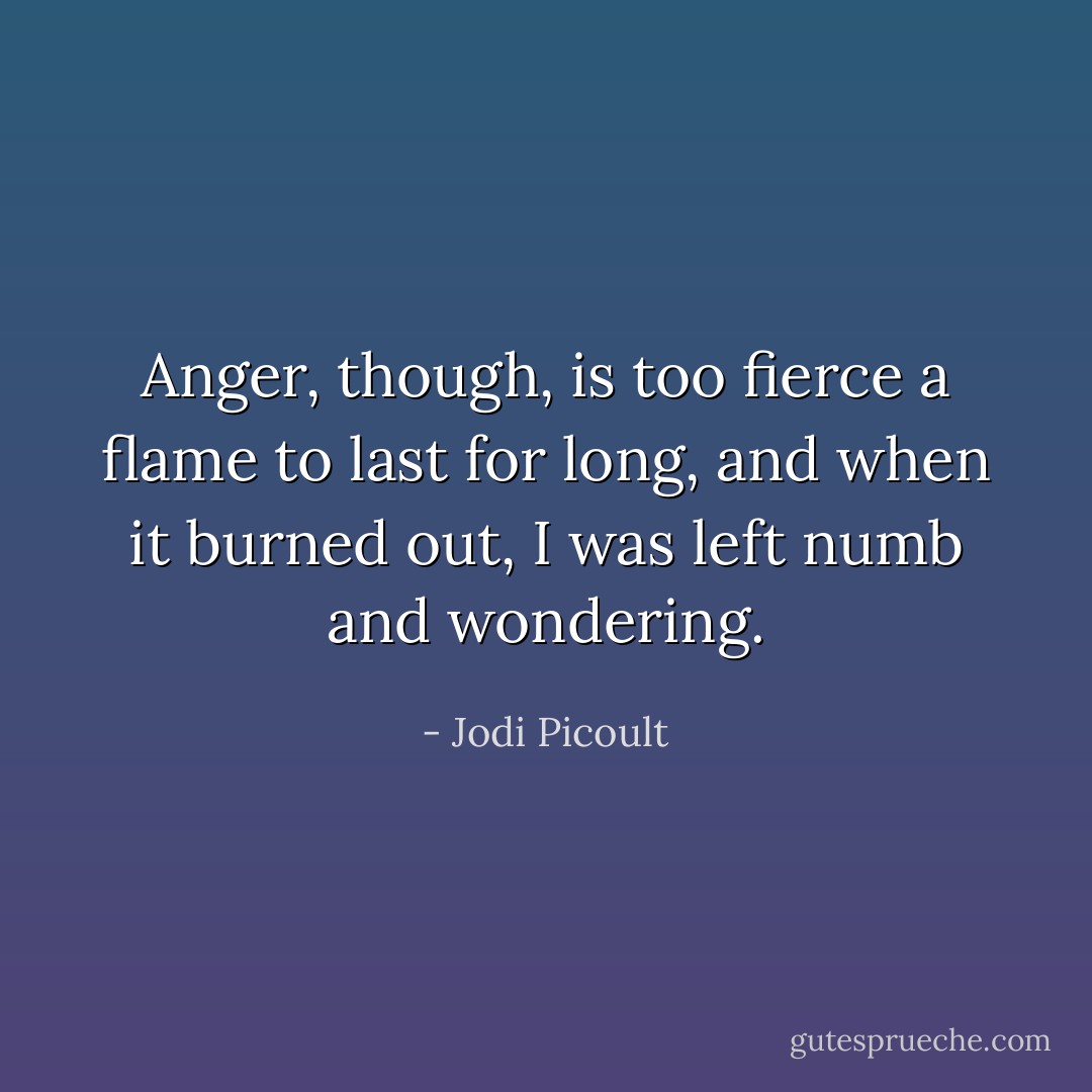 Anger, though, is too fierce a flame to last for long, and when it burned out, I was left numb and wondering. - Jodi Picoult