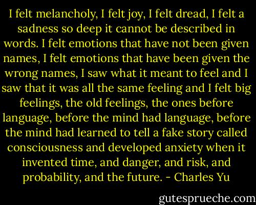 I felt melancholy, I felt joy, I felt dread, I felt a sadness so deep it cannot be described in words. I felt emotions that have not been given names, I felt emotions that have been given the wrong names, I saw what it meant to feel and I saw that it was all the same feeling and I felt big feelings, the old feelings, the ones before language, before the mind had language, before the mind had learned to tell a fake story called consciousness and developed anxiety when it invented time, and danger, and risk, and probability, and the future. - Charles Yu
