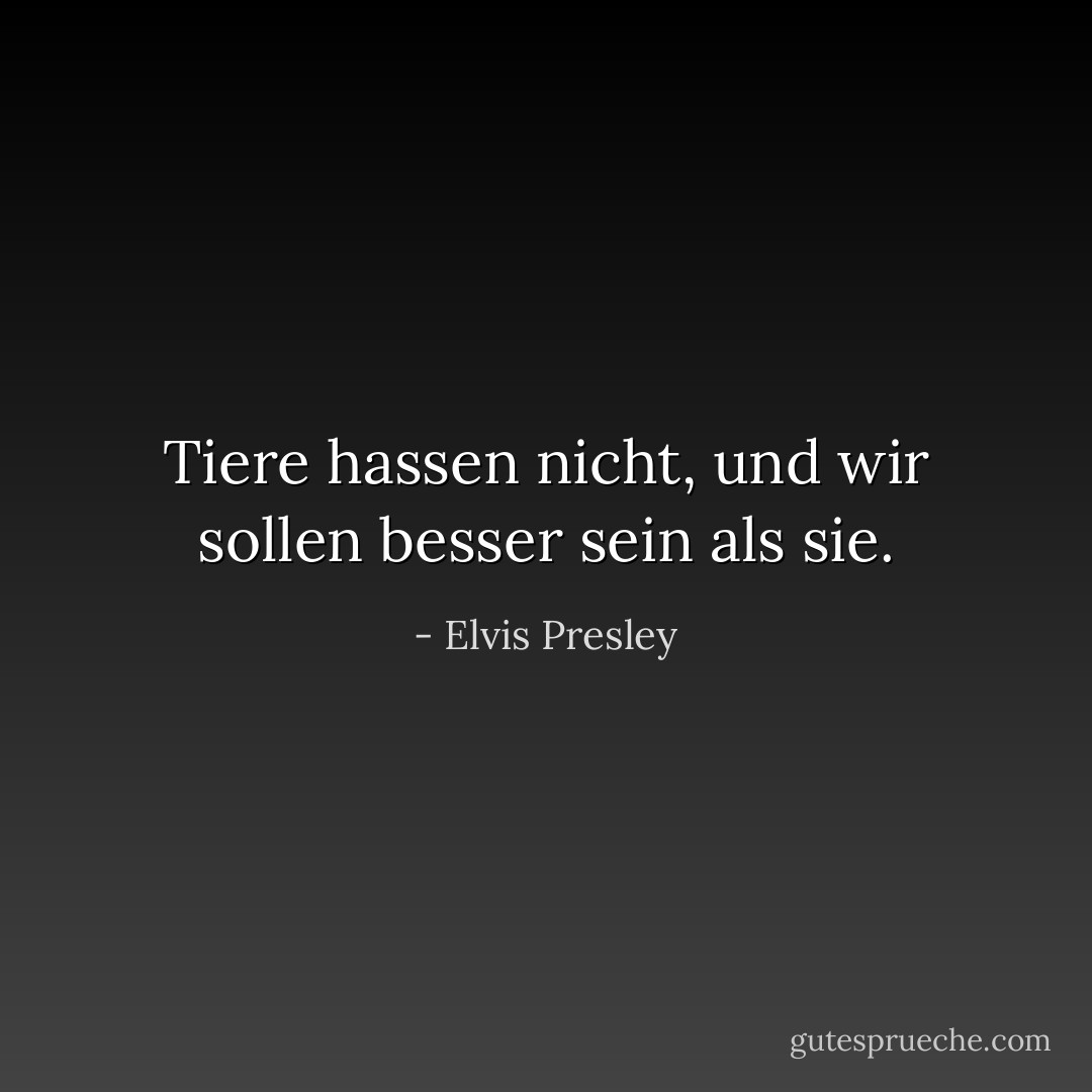 Tiere hassen nicht, und wir sollen besser sein als sie. - Elvis Presley<