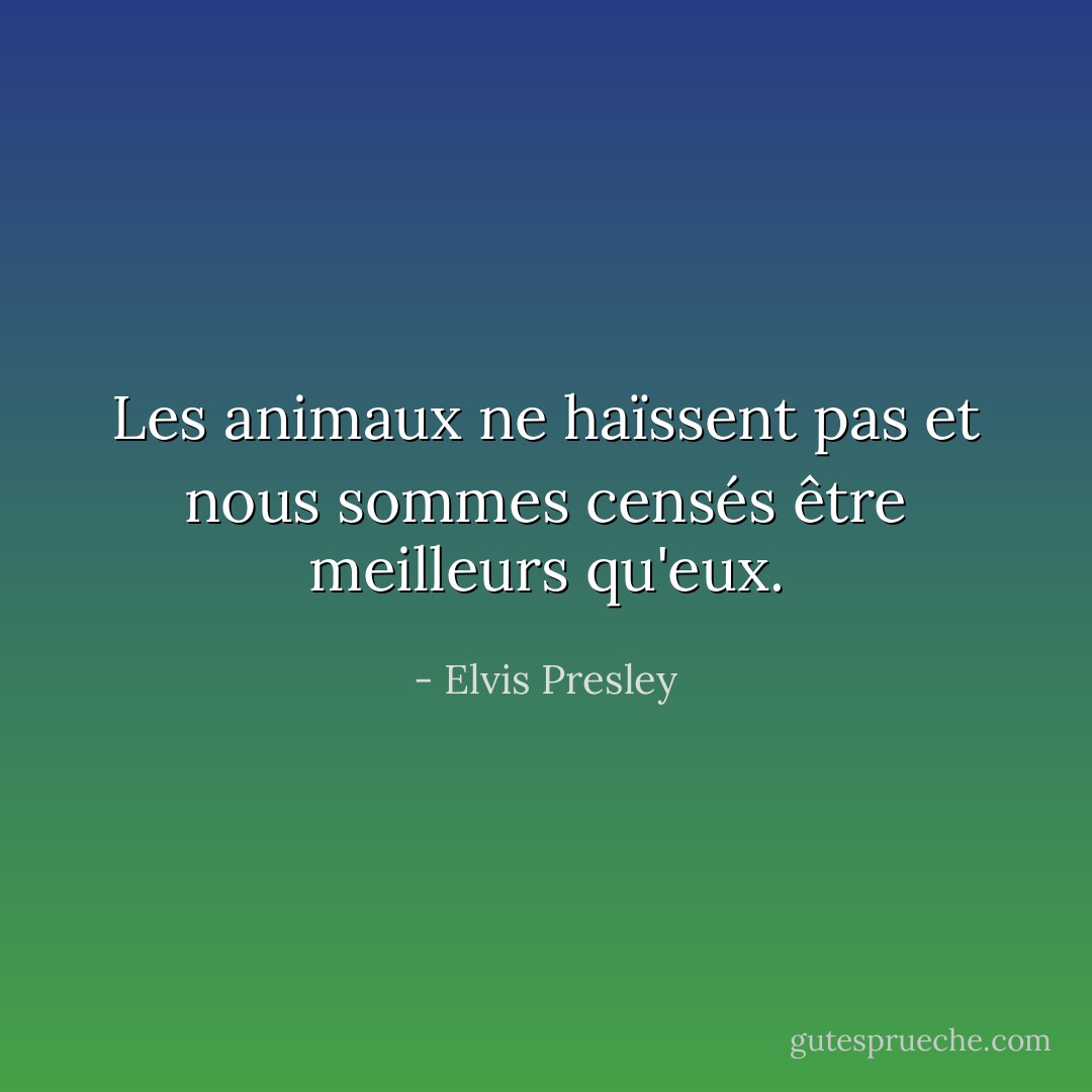 Les animaux ne haïssent pas et nous sommes censés être meilleurs qu'eux. - Elvis Presley