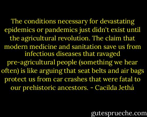 The conditions necessary for devastating epidemics or pandemics just didn't exist until the agricultural revolution. The claim that modern medicine and sanitation save us from infectious diseases that ravaged pre-agricultural people (something we hear often) is like arguing that seat belts and air bags protect us from car crashes that were fatal to our prehistoric ancestors. - Cacilda Jethá