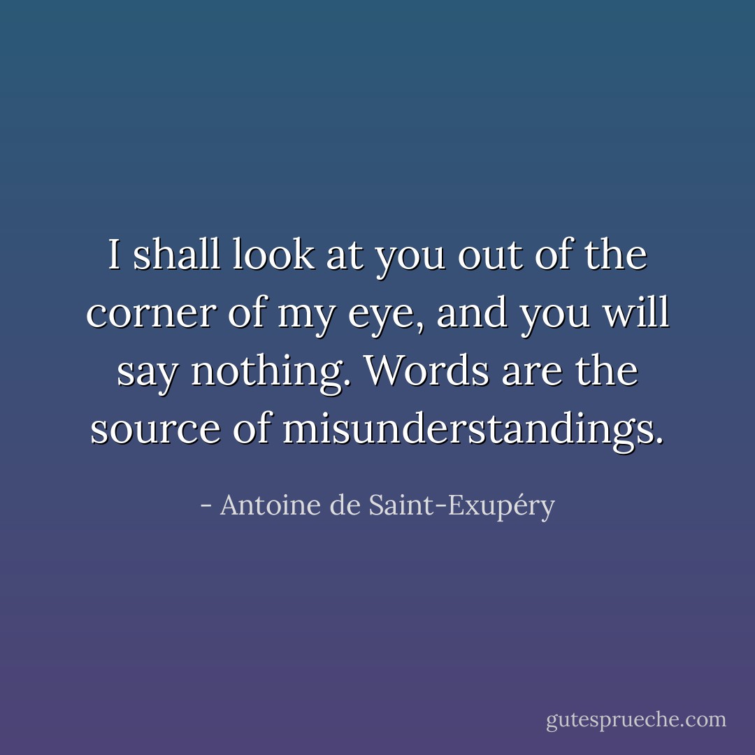 I shall look at you out of the corner of my eye, and you will say nothing. Words are the source of misunderstandings. - Antoine de Saint-Exupéry