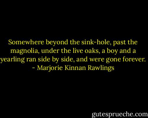 Somewhere beyond the sink-hole, past the magnolia, under the live oaks, a boy and a yearling ran side by side, and were gone forever. - Marjorie Kinnan Rawlings