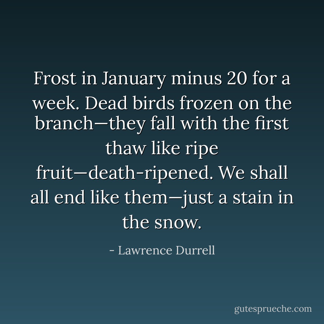 Frost in January minus 20 for a week. Dead birds frozen on the branch—they fall with the first thaw like ripe fruit—death-ripened. We shall all end like them—just a stain in the snow. - Lawrence Durrell