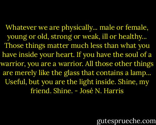 Whatever we are physically... male or female, young or old, strong or weak, ill or healthy... Those things matter much less than what you have inside your heart. If you have the soul of a warrior, you are a warrior. All those other things are merely like the glass that contains a lamp... Useful, but you are the light inside. Shine, my friend. Shine. - José N. Harris