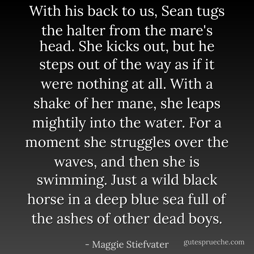 With his back to us, Sean tugs the halter from the mare's head. She kicks out, but he steps out of the way as if it were nothing at all. With a shake of her mane, she leaps mightily into the water. For a moment she struggles over the waves, and then she is swimming. Just a wild black horse in a deep blue sea full of the ashes of other dead boys. - Maggie Stiefvater