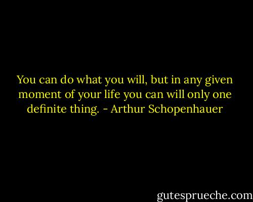 You can do what you will, but in any given moment of your life you can will only one definite thing. - Arthur Schopenhauer